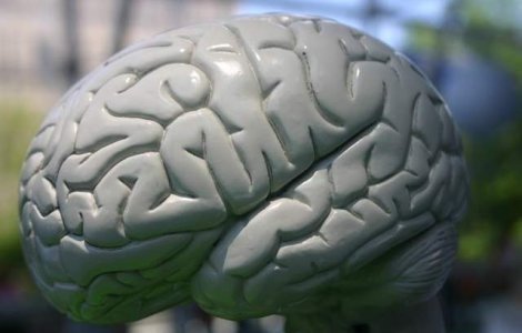 Cauza maladiei Alzheimer este, cel mai probabil, transmisibila