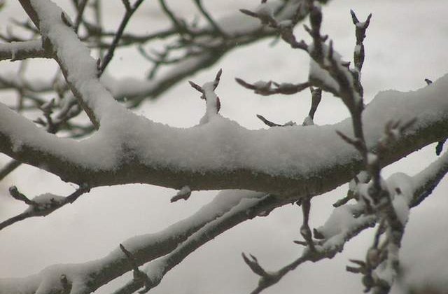 Informare meteo de ninsori si viscol. Ce zone vor fi afectate