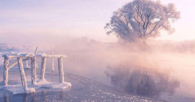 Frumusetea unei dimineti de iarna surprinsa in imagini de poveste