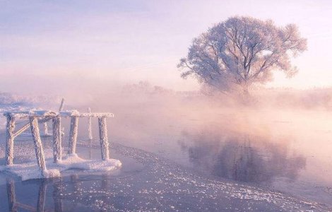 Frumusetea unei dimineti de iarna surprinsa in imagini de poveste