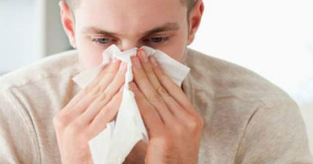 Gripa porcina a facut prima victima in Bucuresti