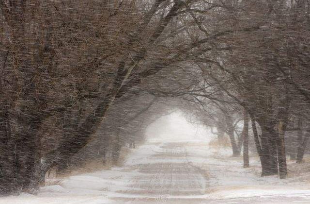 Avertizare meteo: Ninsori viscolite si intensificari ale vantului. Care sunt zonele vizate