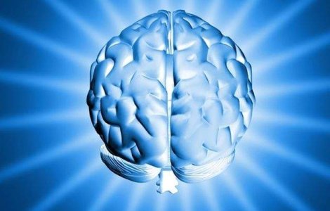 Proiect revolutionar menit sa conserve creierul uman pentru o perioada de 100 de ani