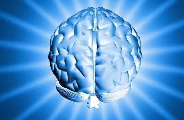 Proiect revolutionar menit sa conserve creierul uman pentru o perioada de 100 de ani