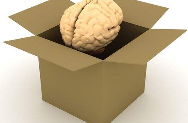 In ce perioada a anului este creierul uman cel mai activ?