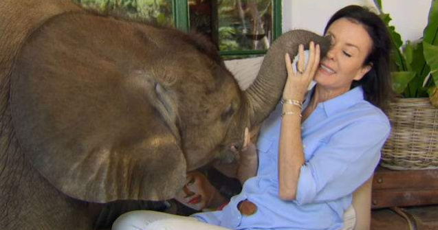 Acest pui de elefant nu se poate dezlipi de cea care i-a salvat viata