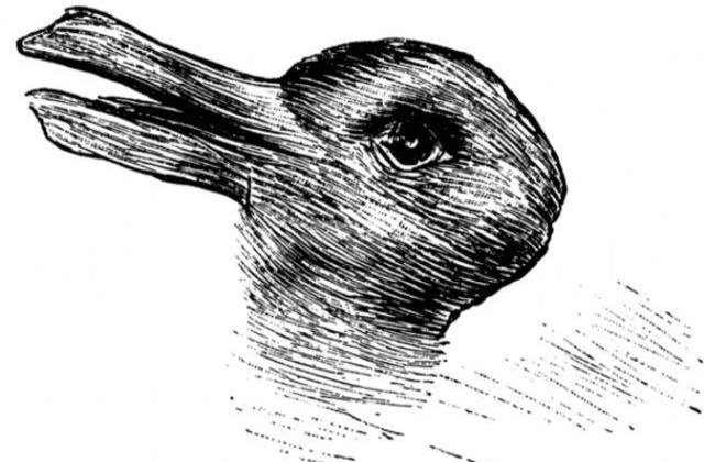 [FOTO] Tu ce vezi, o rata sau un iepure? Afla ce spune alegerea despre personalitatea ta