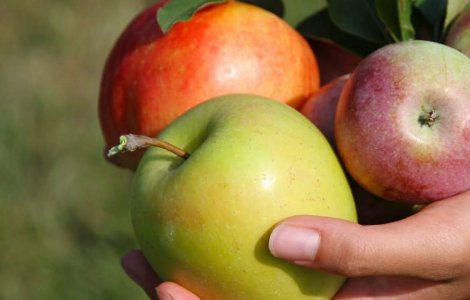  Top  Pastreaza corect alimentele! Cele mai simple trucuri