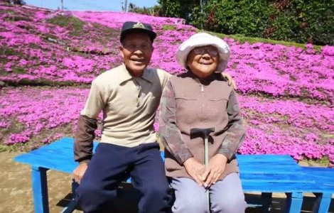 A plantat mii de flori pentru a-si face sotia oarba sa zambeasca