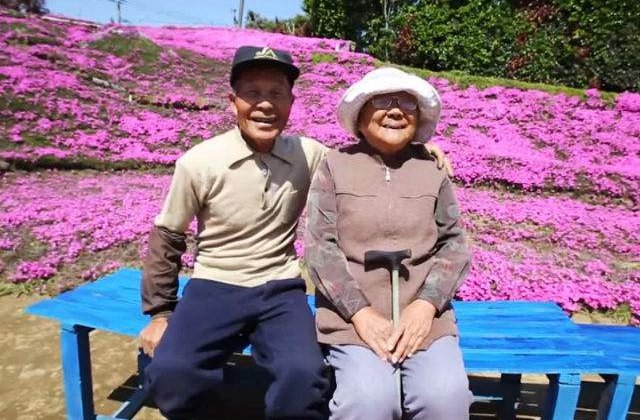 [VIDEO] Un barbat a plantat mii de flori pentru a-si face sotia oarba sa zambeasca din nou