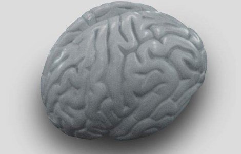 Au fost create "mini-creiere" care vor ajuta la combaterea bolilor neurologice