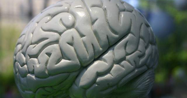 Studiu: Consumul de ciocolata, benefic pentru creier