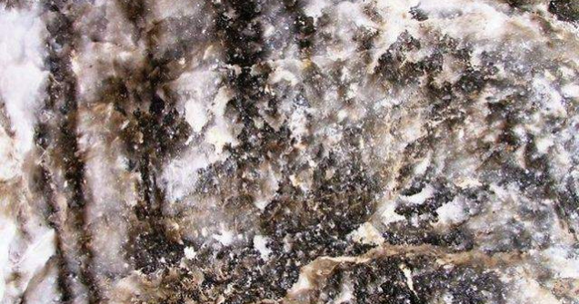 Salina Slanic Prahova a fost redeschisa