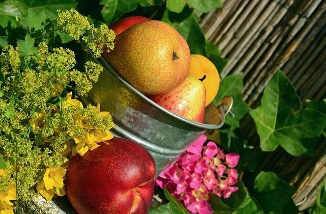 Ministrul Agriculturii: Dorim cat mai multe produse romanesti in magazine