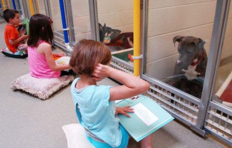 Copiii vin la adaposturi pentru a citi povesti cainilor abandonati