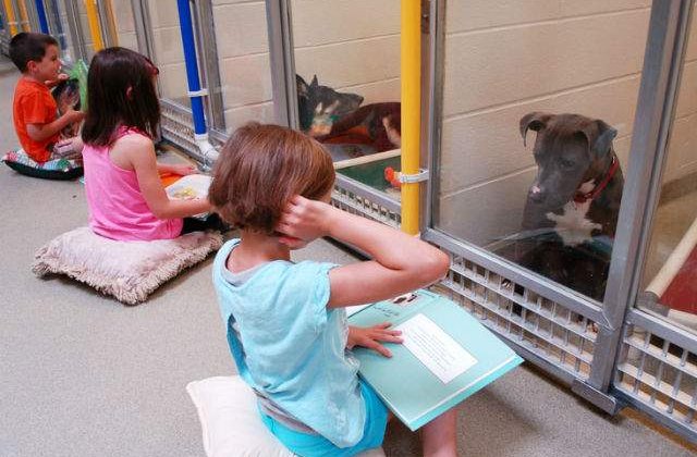 [VIDEO] Copiii vin la adaposturi pentru a citi povesti cainilor abandonati