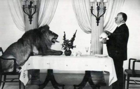  Top  Au facut istorie! Fotografii RARE care te vor fascina