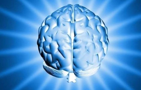 Studiu: Creierul uman ar putea memora o cantitate de date echivalenta cu intregul Internet
