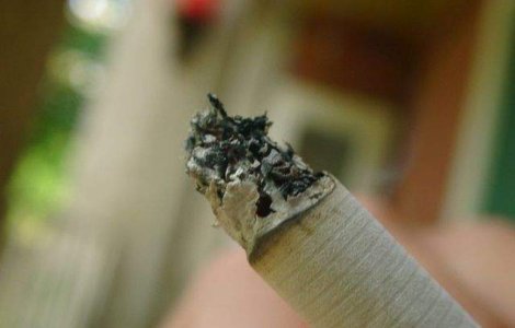 Corpul de control al premierului critica inactivitatea comitetului din domeniul tutunului