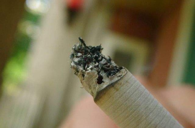 Corpul de control al premierului critica inactivitatea comitetului din domeniul tutunului