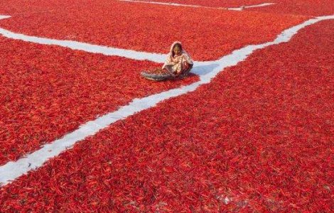  Top  Retrospectiva foto a saptamanii! Cele mai frumoase 7 imagini