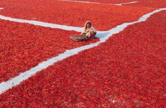 Retrospectiva foto a saptamanii! Cele mai frumoase 7 imagini