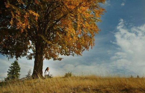 Tristetea si efectele sale asupra organismului