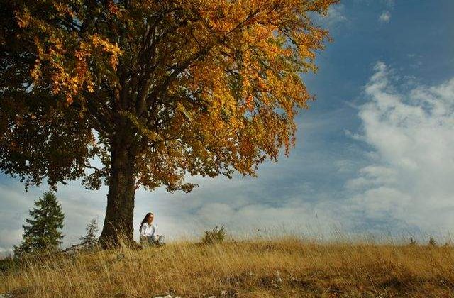 Tristetea si efectele sale asupra organismului