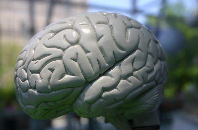 Care este legatura dintre kilogramele in plus si memorie