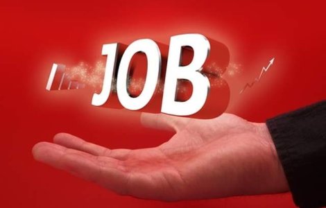 Studiu: Tinerii au asteptari prea mari de la primul job si vor sa fie promovati rapid