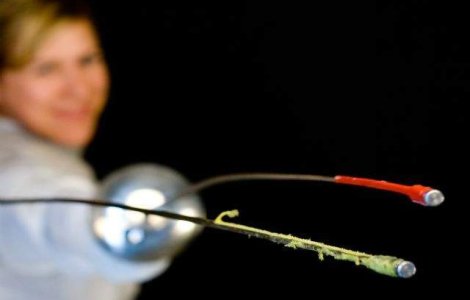 CSA Steaua a castigat Cupa Europei la spada feminin