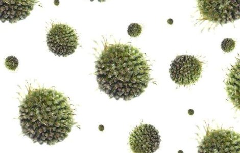 Studiu: 90% din cazurile de cancer pot fi prevenite