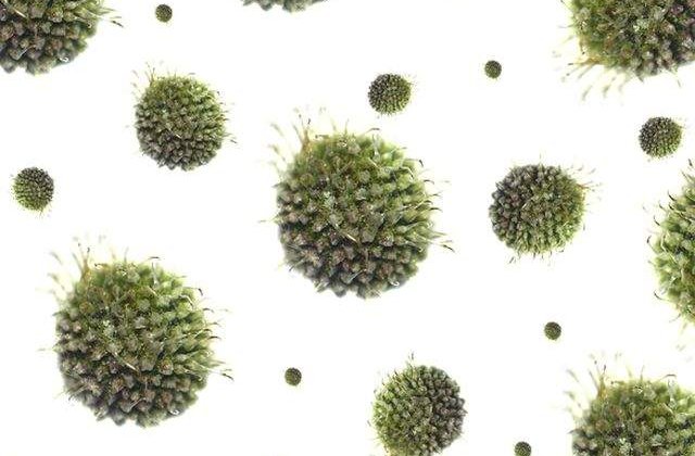 Studiu: 90% din cazurile de cancer pot fi prevenite