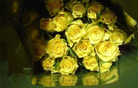 Sase din zece romani sarbatoresc Ziua Femeii