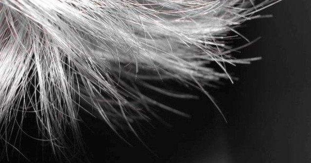 Au fost descoperite genele care provoaca incaruntirea parului