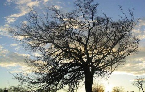 Cod GALBEN de vant puternic in Capitala si alte opt judete