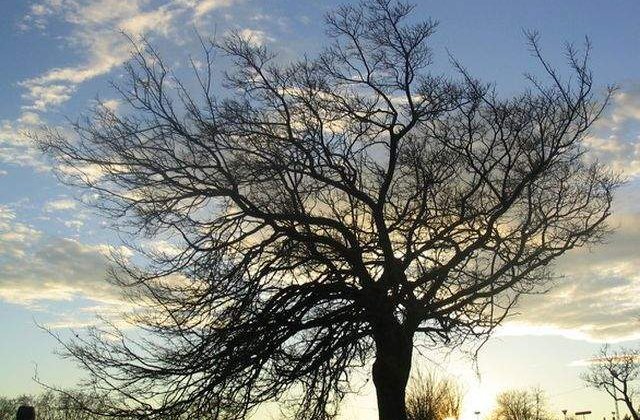 Cod GALBEN de vant puternic in Capitala si alte opt judete