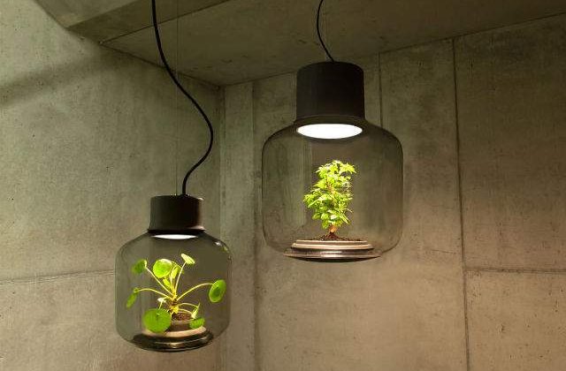 [FOTO] Design inedit: Lampile in care cresc plante