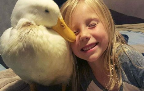 Prietenie neobisnuita intre o fetita de cinci ani si o rata