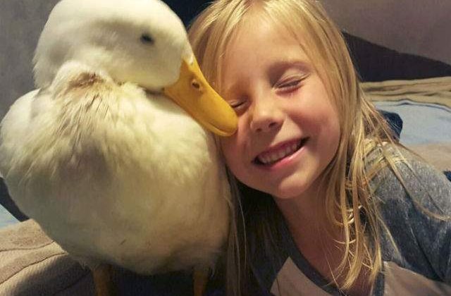 [VIDEO] Prietenie neobisnuita intre o fetita de cinci ani si o rata