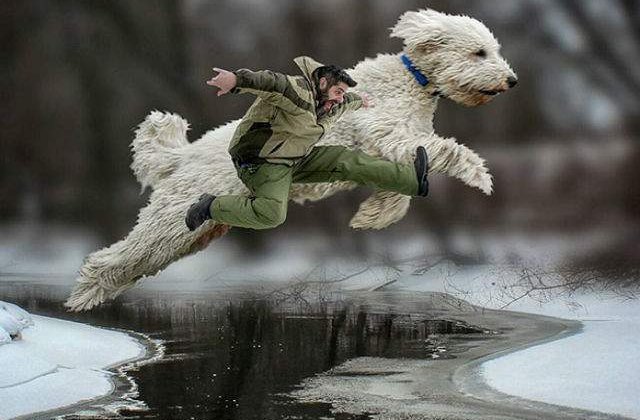 [FOTO] Aventurile unui fotograf si ale cainelui sau urias