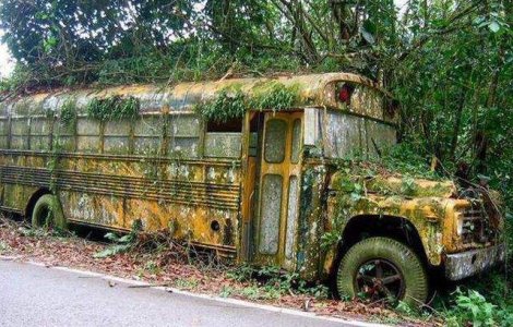  Top   Foto  Peisaje de poveste! Locuri parasite, reinviate de natura