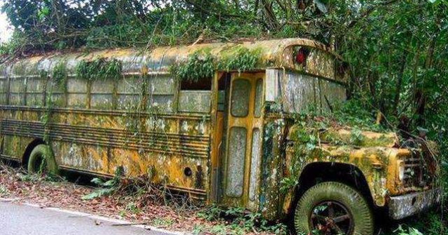  Top   Foto  Peisaje de poveste! Locuri parasite, reinviate de natura