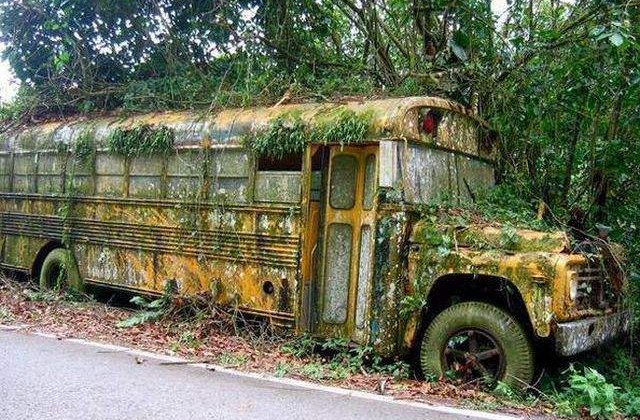 [FOTO] Peisaje de poveste! Locuri parasite, reinviate de natura