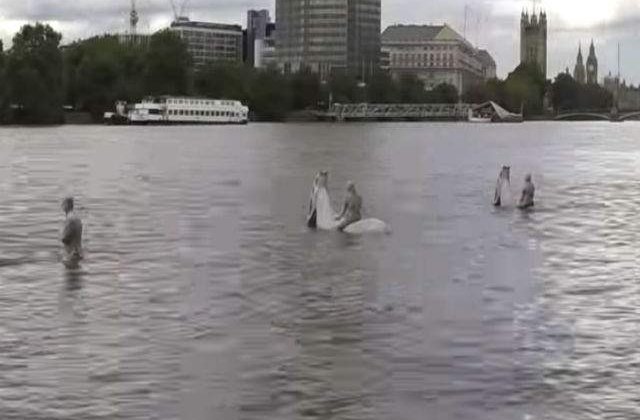 [VIDEO] Superb: sculpturile care pot fi vazute doar la reflux