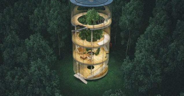  Foto  Design inedit: casa de sticla construita in jurul unui copac