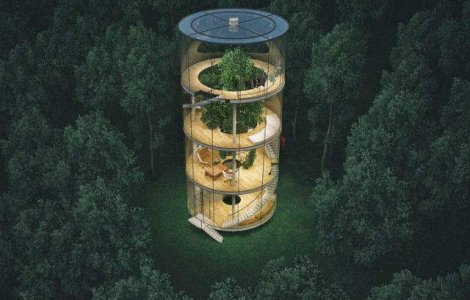 Design inedit: casa de sticla construita in jurul unui copac