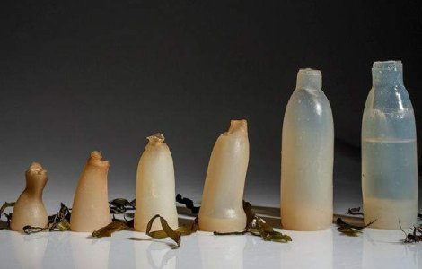 A fost inventata sticla biodegradabila din alge