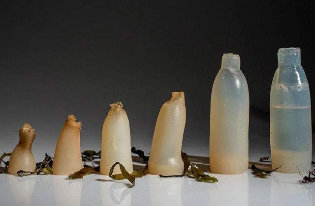 [FOTO] A fost inventata sticla biodegradabila din alge. Dupa ce o uzezi, poti sa o mananci