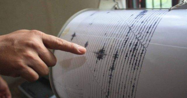 Cutremur cu magnitudinea 3,1, in zona seismica Vrancea
